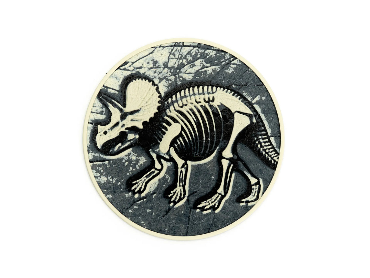 Dinosaur Fossil Coasters (set of 3)